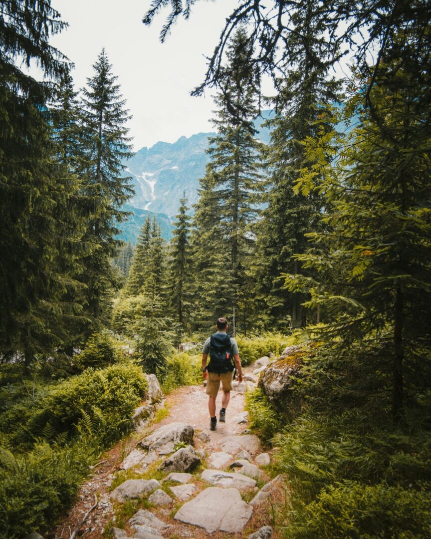 pexels-josh-hild-1270765-2629233 A person with a backpack walking on the trail